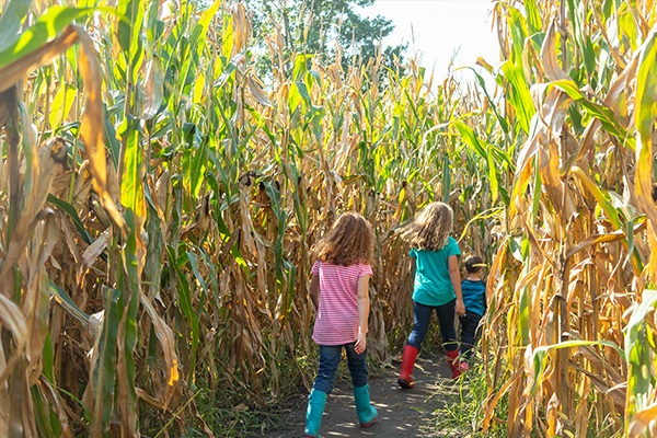 corn mazes in oregon 2024