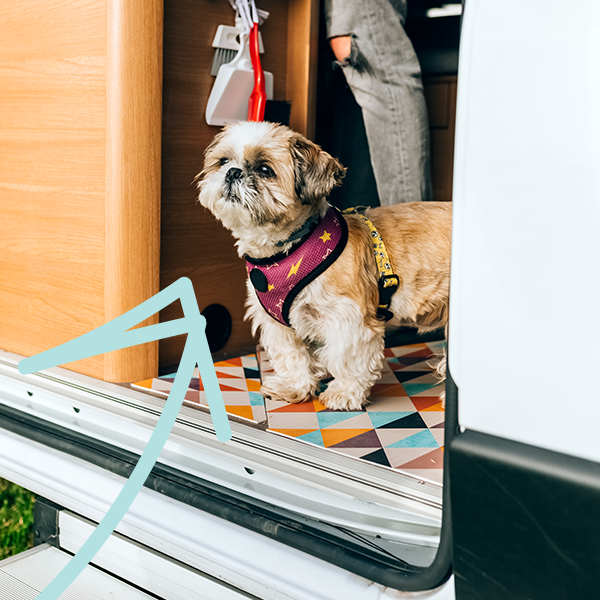 RV Loans